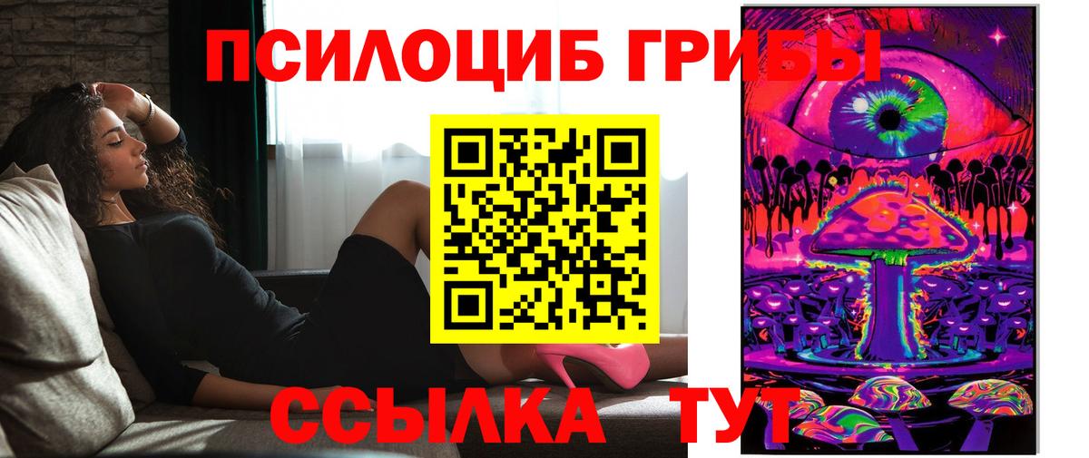 Галлюциногенные грибы Psilocybe Новотроицк